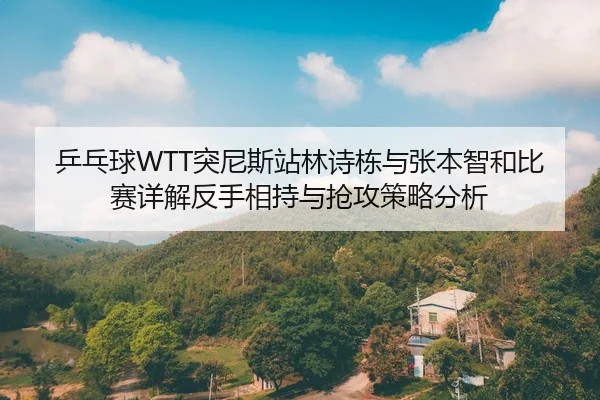 乒乓球WTT突尼斯站林诗栋与张本智和比赛详解反手相持与抢攻策略分析