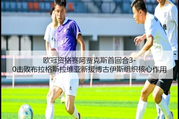 ou-guan-zi-ge-sai-a-jia-ke-si-shou-hui-he-ji-bai-bu-la-ge-si-la-wei-ya-xin-yuan-bo-gu-yi-si-zu-zhi-he-xin-zuo-yong-2-851.jpg